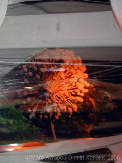art and nature